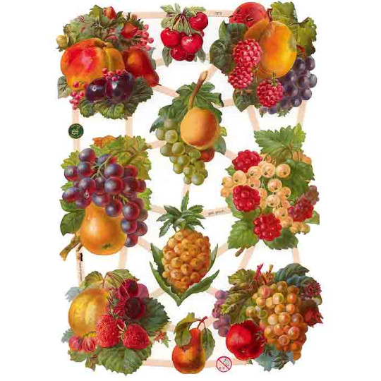 Dellarobia Fruit Scraps ~ Germany